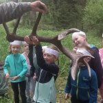 phoca_thumb_m_vp - tet den 42 Fotogalerie